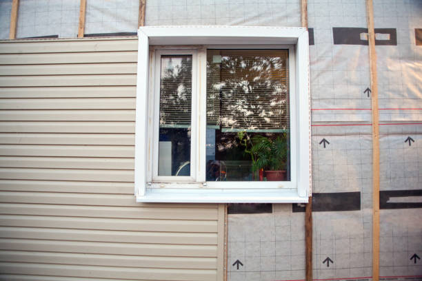 Best Siding Removal and Disposal  in Dwight, IL