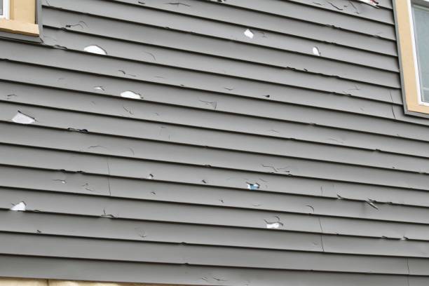 Best Fascia and Soffit Installation  in Dwight, IL