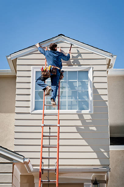 Best Storm Damage Siding Repair  in Dwight, IL